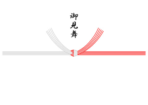御見舞(5本結び切り)