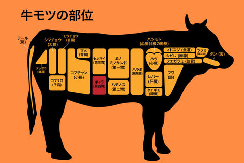 【希少部位】ギアラはどんな部位？食感やおすすめの食べ方も紹介