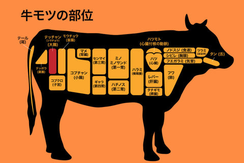 【希少部位】テッチャンの特徴からよくある疑問について解説！