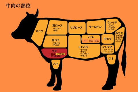 希少部位の牛肉「トウガラシ」の特徴を紹介！おすすめの食べ方も